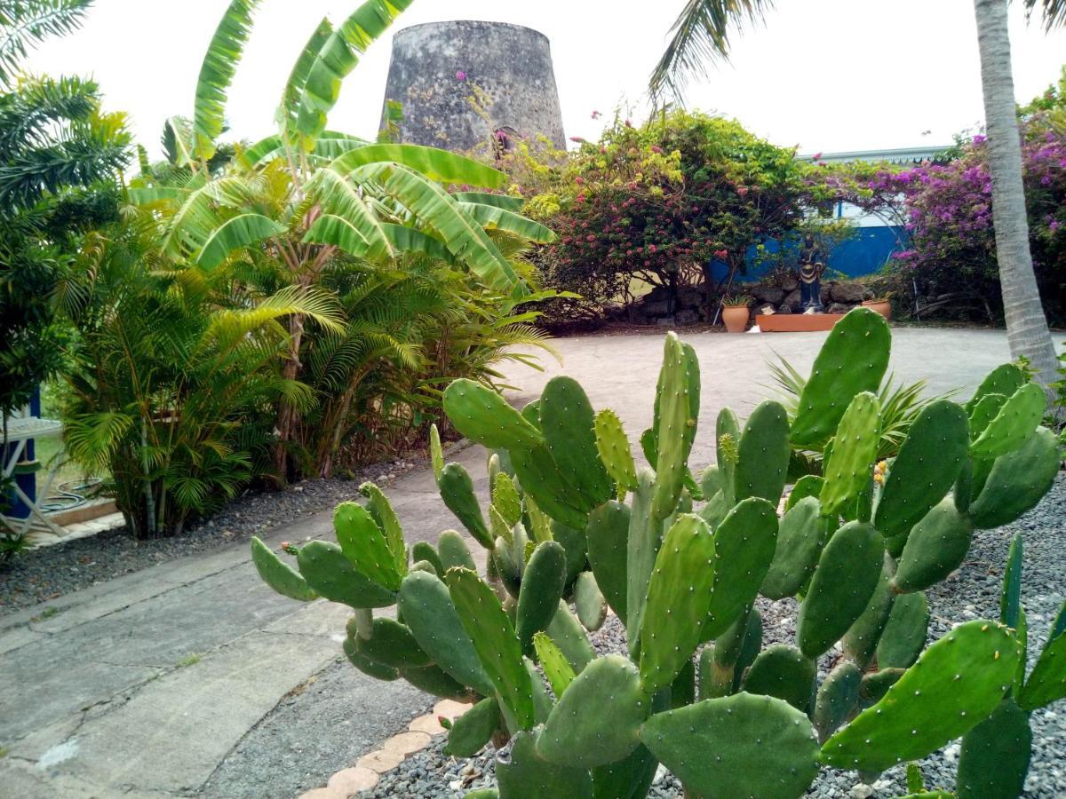 Le Moulin De La Baie Piscine Vue Mer Le Moule Exterior foto